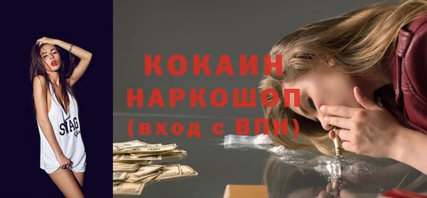 молекула духа Осташков