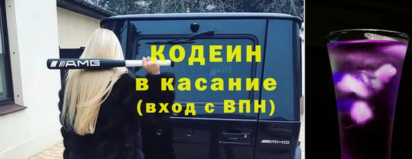 молекула духа Осташков