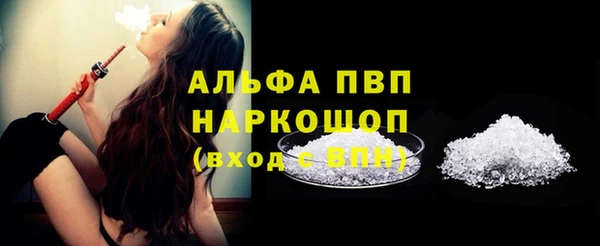 молекула духа Осташков