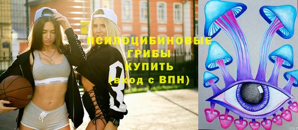 молекула духа Осташков