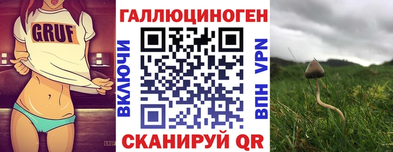 Галлюциногенные грибы MAGIC MUSHROOMS Безенчук