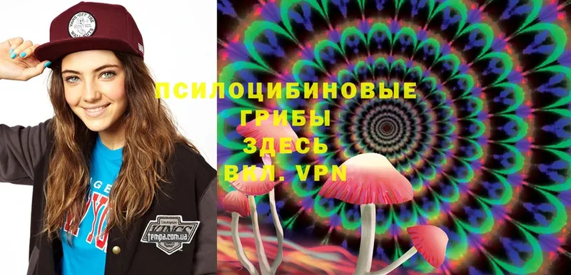 Псилоцибиновые грибы Psilocybe  нарко площадка наркотические препараты  Безенчук 